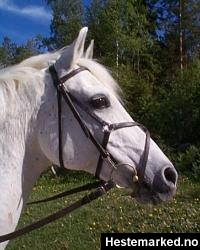 Kryssnesereim