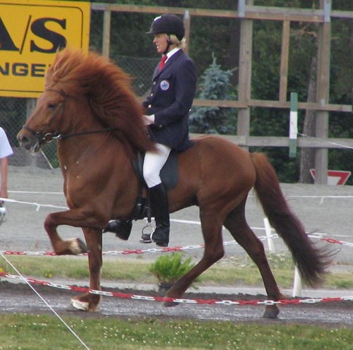 Stian%20Pedersen%20-%20Jarl%20fra%20Midkrika,%2004.JPG