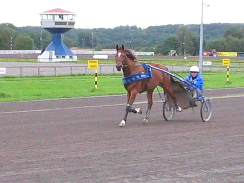 Mission Impossible og Svein Gjennestad