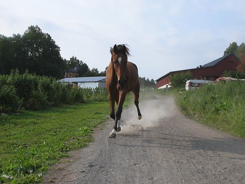 det er gøy å løpe alene ..