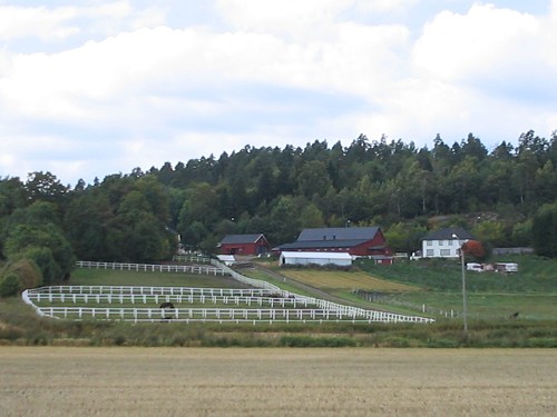 Hogsnes Gård,jarlsberg-odd reinemo