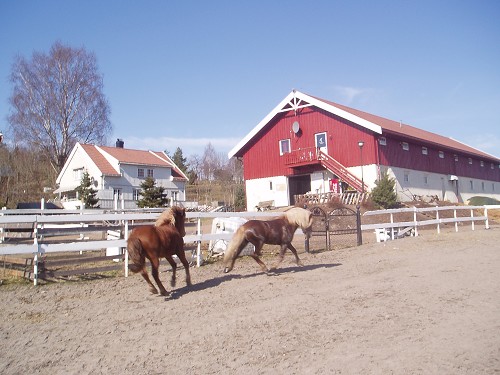 Stall Roberg- Heilo og Storm
