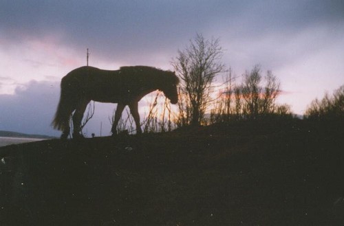 solnedgang