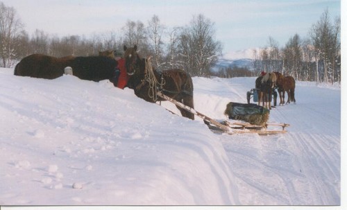 Sledetur