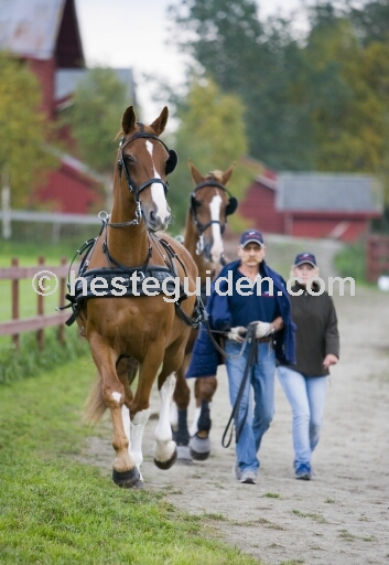 Joe og Roger, Jack og Jorid
