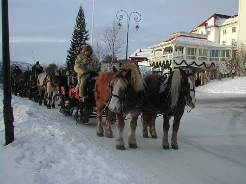 Kanefarthester, asle,jorid og gitte v/holms hotell Geilo