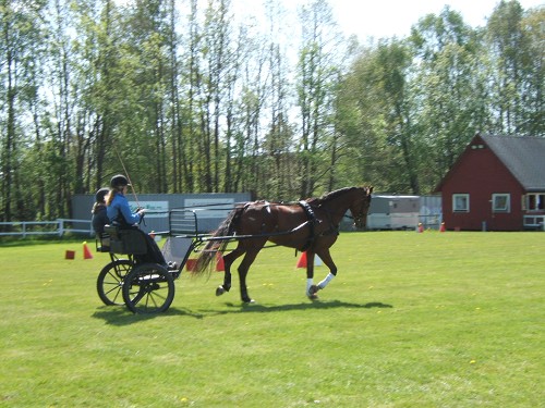 Kjørestevne bugården- Sandefjord
