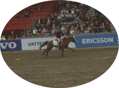 scandinavium.jpg